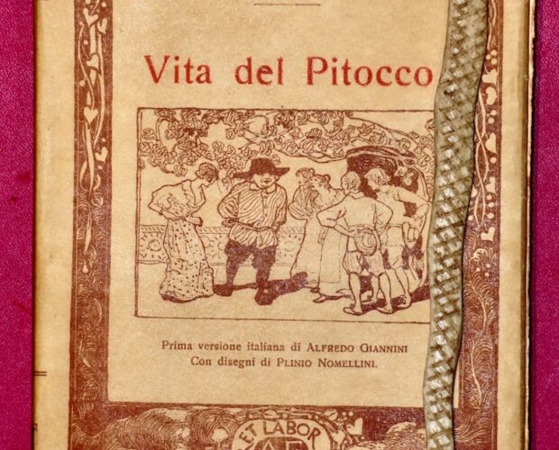 Quevedo, Vita del Pitocco