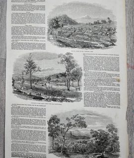 Vintage Print, The Turon Gold Diggins, 1853