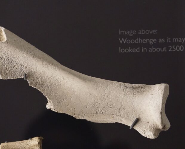 L'abside di Ruggero II