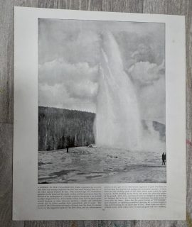 Vintage Print, A Geyser in a Yellowstone Park; Melbourne, 1910 ca.