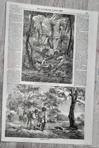 Vintage Print, Aborigenes of Victoria, 1856