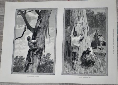 Vintage Print, in Australia, 1889