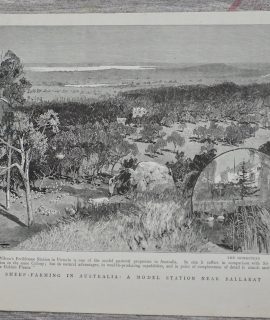 Vintage Print, Sheep-Farming in Australia, 1870