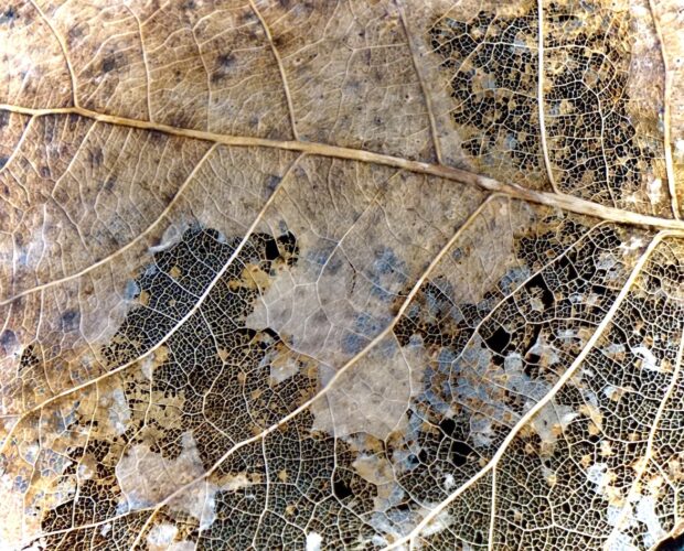 Sanremo. Possiamo pensare liberamente?