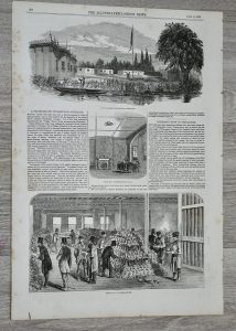 Antique Print, Great Show of Pineapples, 1853
