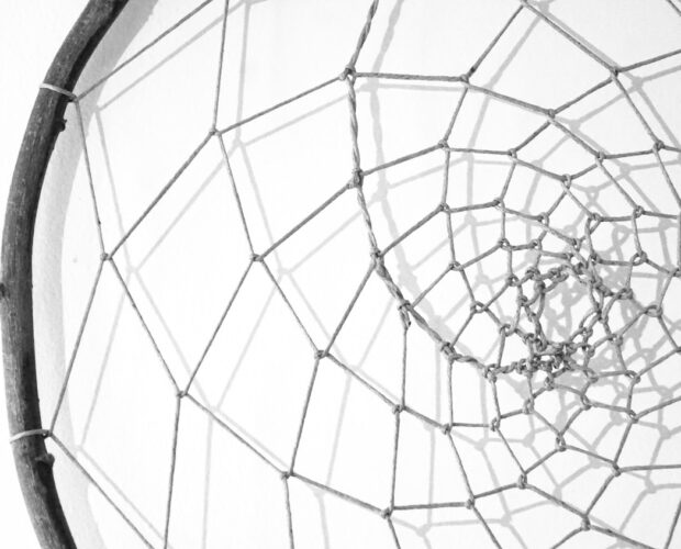 Moccia? Tesi su Moccia