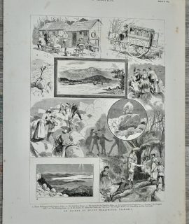 Vintage Print, Tasmania, 1884