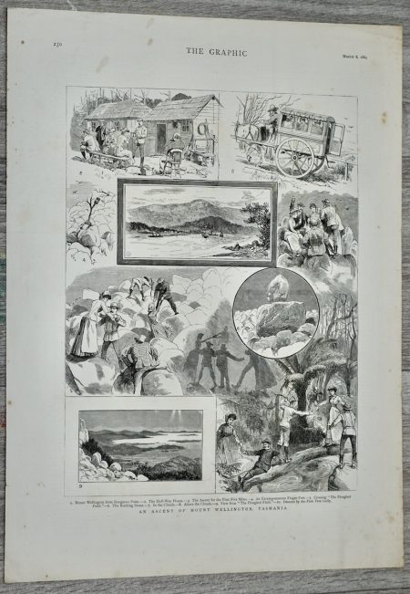 Vintage Print, Tasmania, 1884