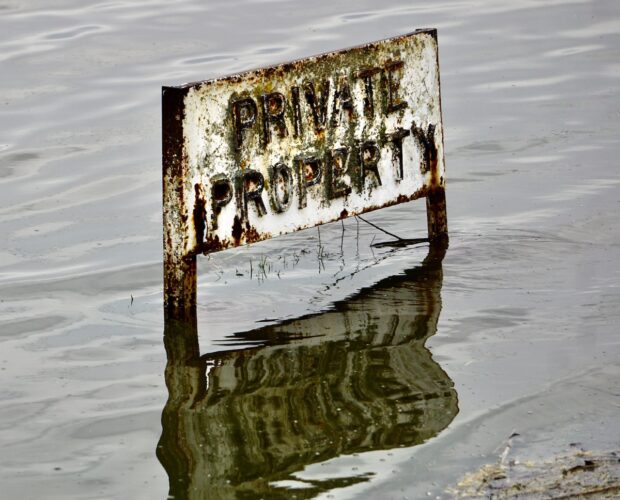 Se non avete pane...