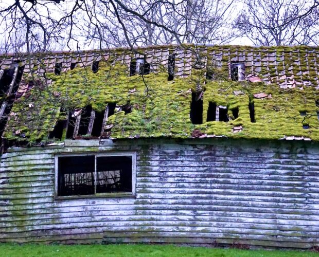 L'età dell'oro è lontana