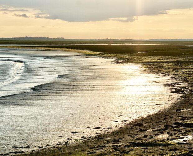 Verità, inganno, essere, destino