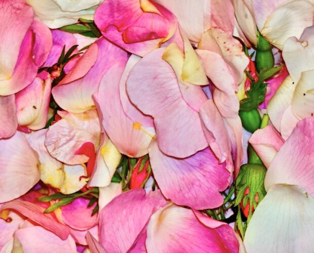 La misoginia è antica