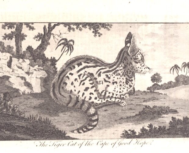 Scrittore, conosci l'amico giusto?