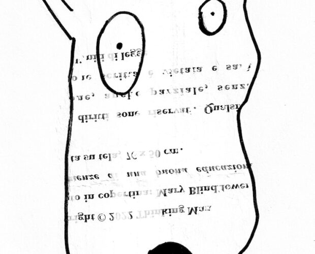 Snobissimo, lo scarabeo stercorario