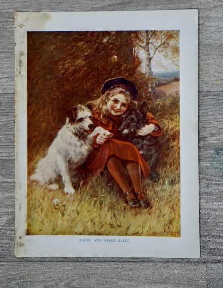 Vintage Print, Share and share alike, 1909 ca.