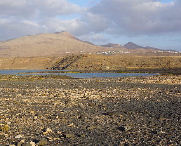 Colonialismo, l'uomo delle bestie