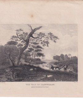 Antique Engraving Print, The Vale of Llanwillian, 1840 ca.
