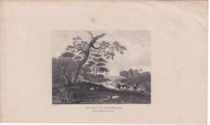 Antique Engraving Print, The Vale of Llanwillian, 1840 ca.