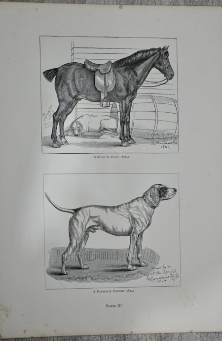 Vintage Print, Horse and Pointer, 1870 ca.