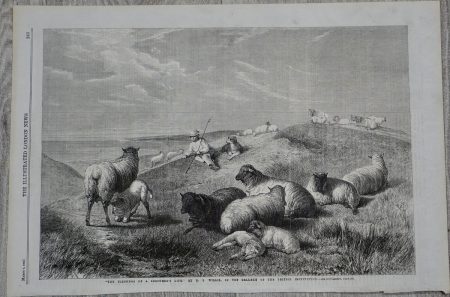 Vintage Print, Shepherd's Life, 1862