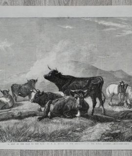 Vintage Print, A rest in the road, 1861