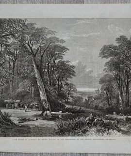 Antique Print, The woods in autumn, 1864