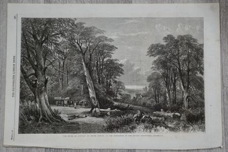 Antique Print, The woods in autumn, 1864