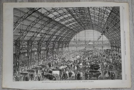 Antique Print, The Smithfield Club Cattle Show, 1862