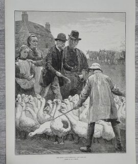 Vintage Print, The goose Club, 1881