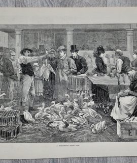 A Michaelmas Goose Fair, 1873