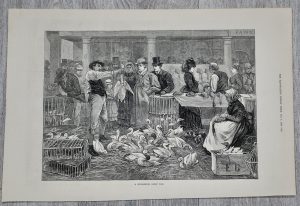 A Michaelmas Goose Fair, 1873
