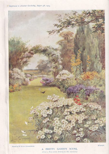 Vintage Print, Garden Scene, 1906