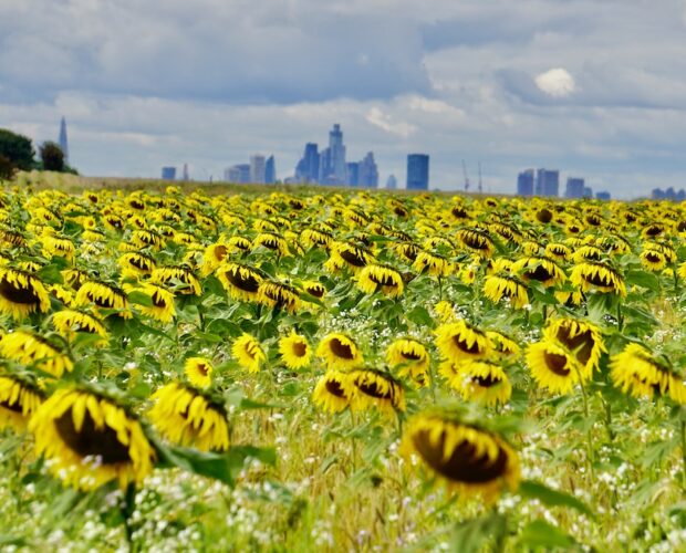 Altezza Reale, mi consenta