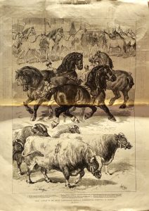 Vintage Print, Animals, 1879