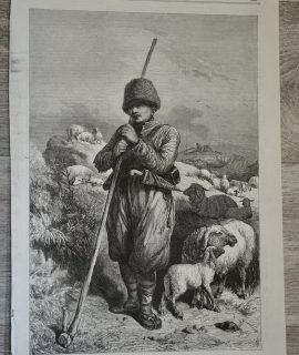 Antique Print, The Crimea Revisited, 1869