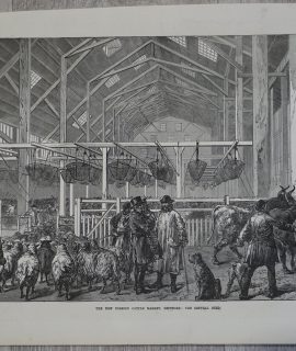 Vintage Print, The new cattle market, 1872