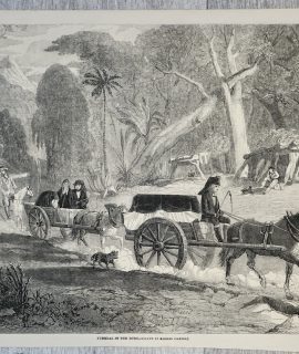 Antique Print, Funeral in the Bush, 1860