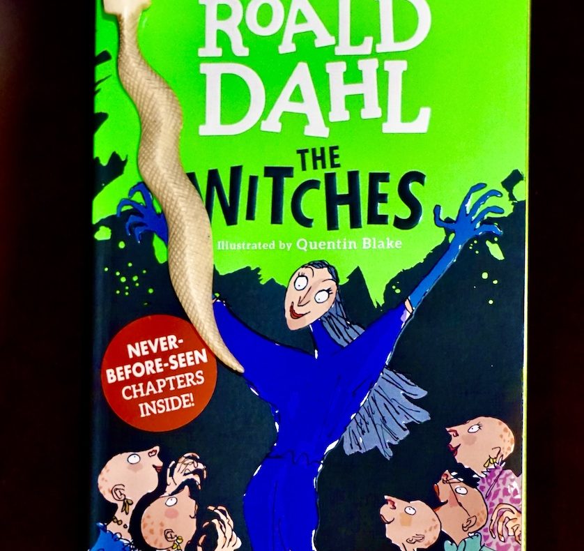 Roald Dahl, Le streghe, romanzo