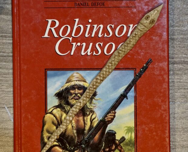 Robinson Crusoe, classe media
