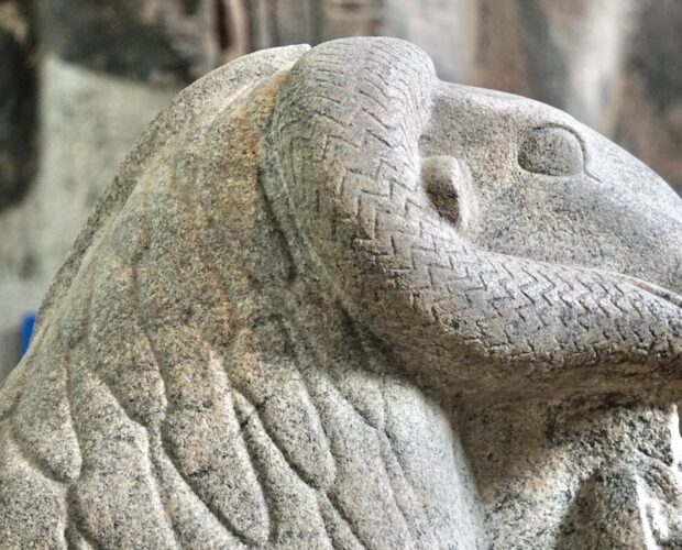 Sindrome dell'esaurito consigliere