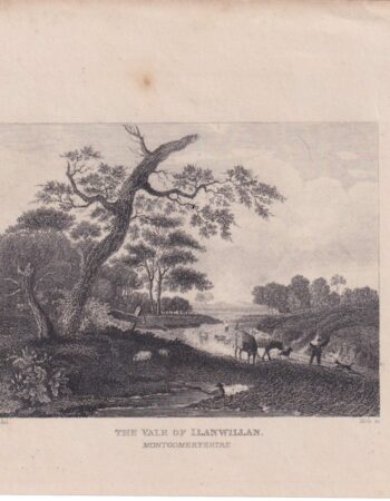 Antique Engraving Print, The Vale of Llanwillian, 1840 ca.