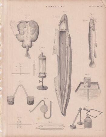 Antique print, Electricity, 1818