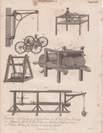 Antique Engraving Print, Cranes, 1816