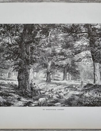 Antique Print, In Sherwood Forest, 1870 ca.