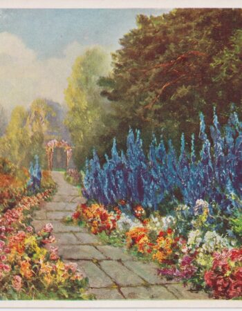 Vintage Print, Landscape, 1930 ca.