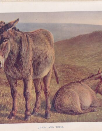 Vintage Print, Jenny and Topsy, 1920 ca.