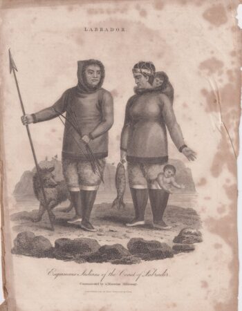 Antique Engraving Print, Labrador, 1812