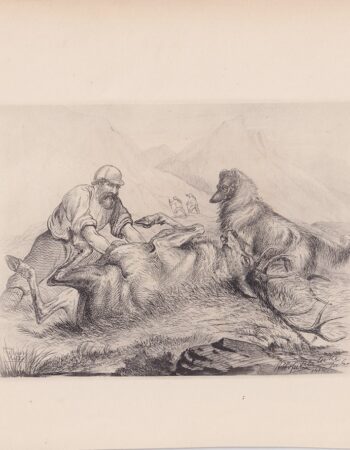 Antique Print, Hunting, 1881