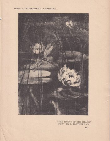 Vintage Print, Dragon Fly, 1920 ca.