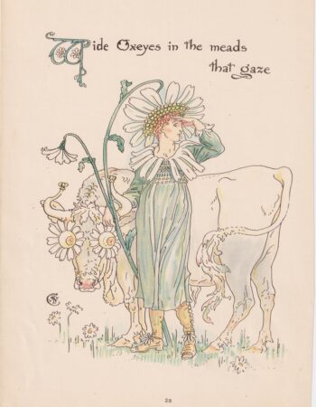 Antique Print, Mide Oxeyes in the meads that gaze, 1890